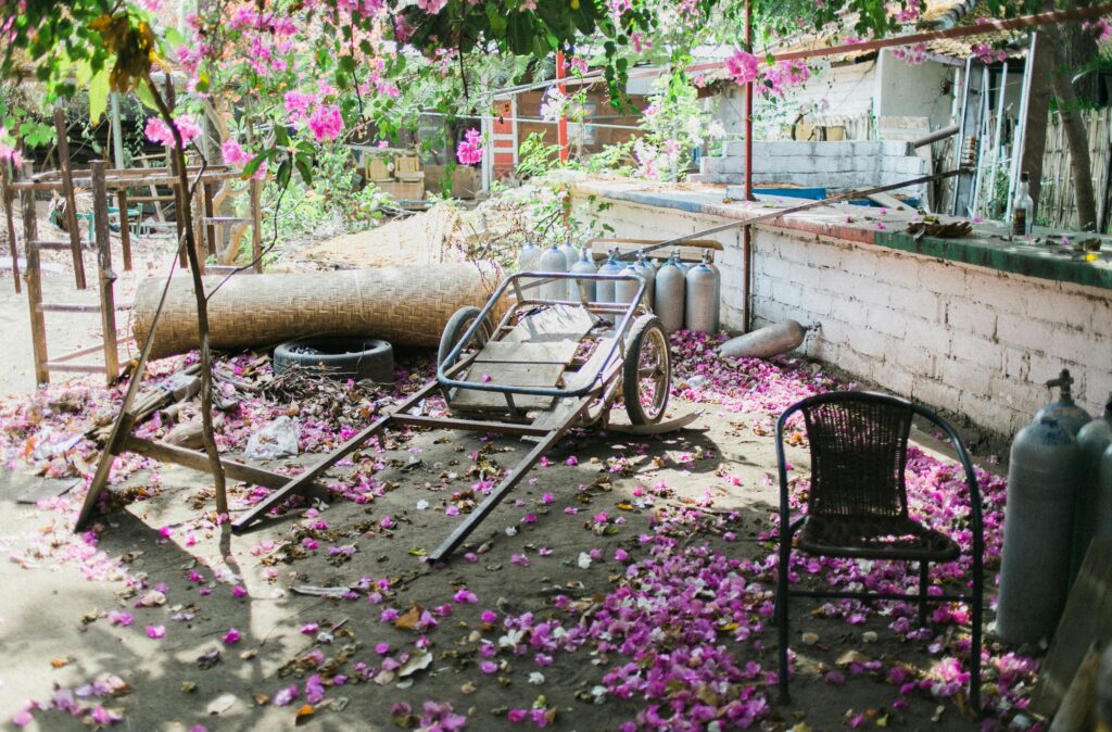 How To Effectively Declutter A Messy Yard