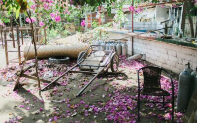 How To Effectively Declutter A Messy Yard